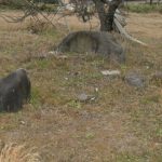 高崎市剣崎町上小路819所在1_2号墳