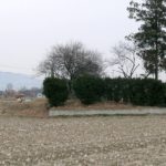 高崎市町屋町四ツ田767所在古墳