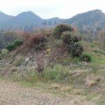 藤岡市藤岡市513_514_515号古墳