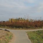 藤岡市藤岡市551号古墳（蛇塚、美九里村203号墳）