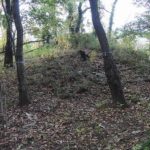 藤岡市藤岡市660_659_661_662号古墳