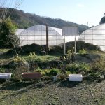 昭和村糸之瀬村6号古墳