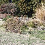 東吾妻町岩井西古墳群