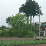 秩父市狐塚古墳