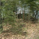 小鹿野町丸山塚古墳