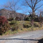 東吾妻町太田村34号古墳_その他