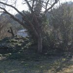 小鹿野町千尋原古墳群No.151_152古墳