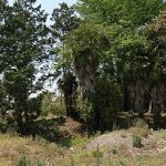 神川町産塚古墳