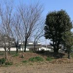 神川町元阿保古墳群No.48_52_23_55古墳