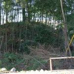 本庄市秋山古墳群71_75_76_77_80_81号墳