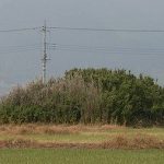 神川町海老ヶ久保支群13_14_16_17号墳