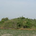 神川町海老ヶ久保支群24_25_26_27号墳