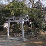 熊谷市広瀬古墳群第11号墳（No.260）