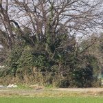 熊谷市広瀬古墳群第2号墳（No.90）