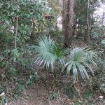 寄居町稲荷塚古墳