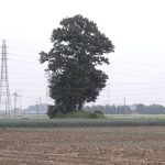 深谷市欠下台古墳