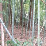 秩父市金室5_6_7号墳