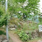 秩父市金室8号墳