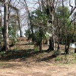 深谷市鹿島古墳群47_48_49_50号墳