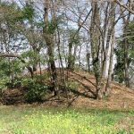 深谷市鹿島古墳群54_55_56号墳