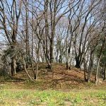 深谷市鹿島古墳群65_66_67_68号墳