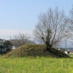 深谷市鹿島古墳群81_82_83_84号墳