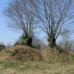 深谷市鹿島古墳群91_92_93_94号墳