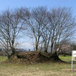 深谷市鹿島古墳群案内板