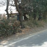 深谷市森吉古墳