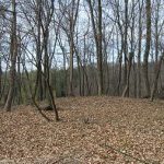 深谷市狢山古墳群