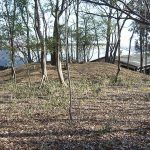 美里町生野山古墳群（仮）17_18_19_20_21号墳