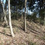 美里町生野山古墳群（仮）22_23_24号墳