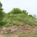 神川町二ノ宮支群2_4_5_6号墳