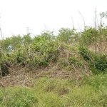 神川町二ノ宮支群7_9_10号墳