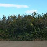 神川町二ノ宮支群24_27号墳