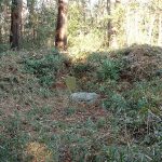 熊谷市野原古墳群1_5_16号墳