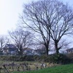 寄居町稲荷塚古墳（小前田3号墳）