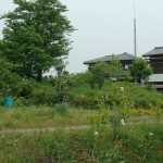 秩父市大野原6_8_10号墳