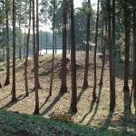 熊谷市塩第1支群2号墳（狸塚2号墳）