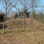 熊谷市塩第1支群3号墳（狸塚3号墳）