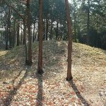 熊谷市塩第1支群4_5_7_8号墳