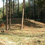 熊谷市塩第1支群10_11_12_13_14_15号墳