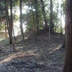 熊谷市塩第1支群16_17_18_19_21号墳