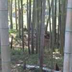 熊谷市塩古墳群第2支群1～12号墳