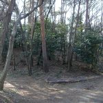 深谷市諏訪山2号墳