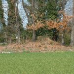 熊谷市本代遺跡第1号墳_玉井古墳群第11号墳