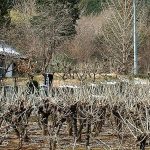 長瀞町塚越古墳