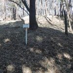 美里町塚本山11_12_13_14_15_16_17_18_19_20号墳