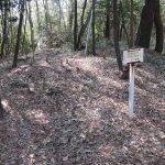 美里町塚本山31_32_33_34_35_36_37_38_39_40_41_42号墳