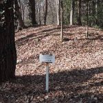 美里町塚本山43_44_45_47_51_53_54_55_56_57_58号墳